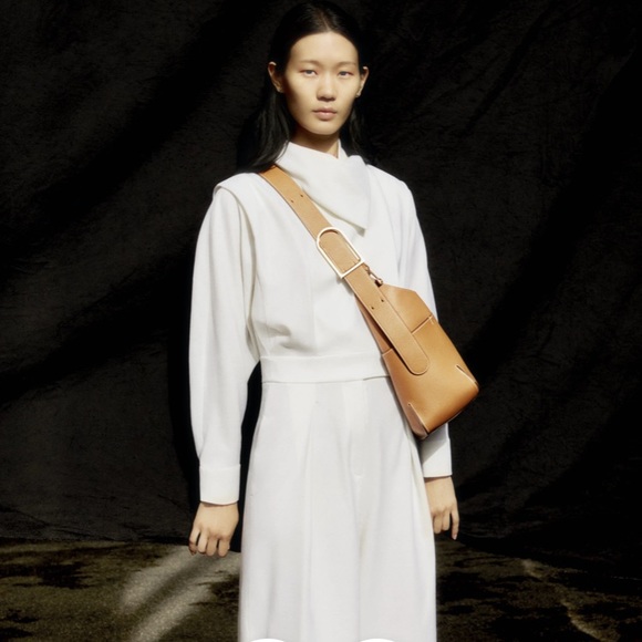 So Cool Mini in Jumping Calf Delvaux 12inch MM